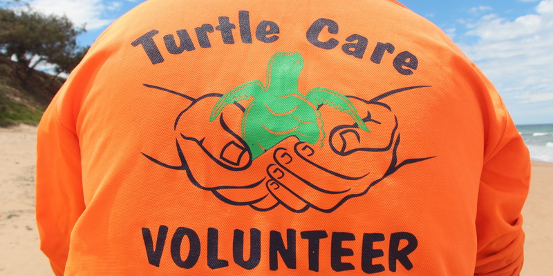 Turtle care volunteer (© Christine Hof / WWF-Aus)
