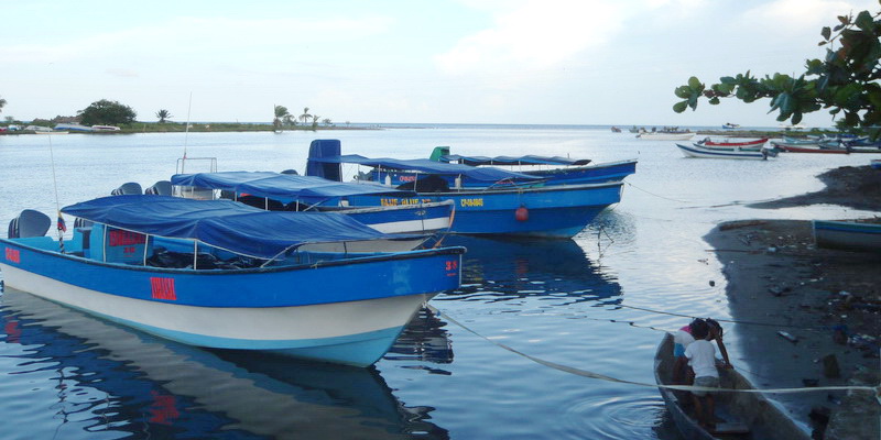 Authorities and communities will work together to protect these turtle habitats (© WWF-Colombia)
