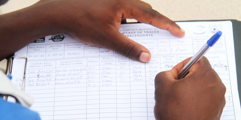 Turtle team members receive data collection training from Gabon Sea Turtle Partnership (© WWF-Gabon)