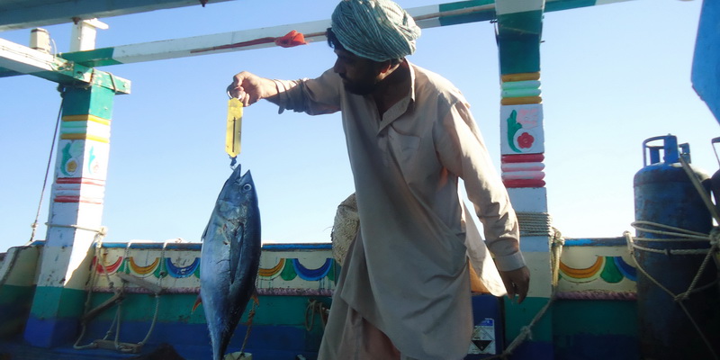 (© WWF-Pakistan)