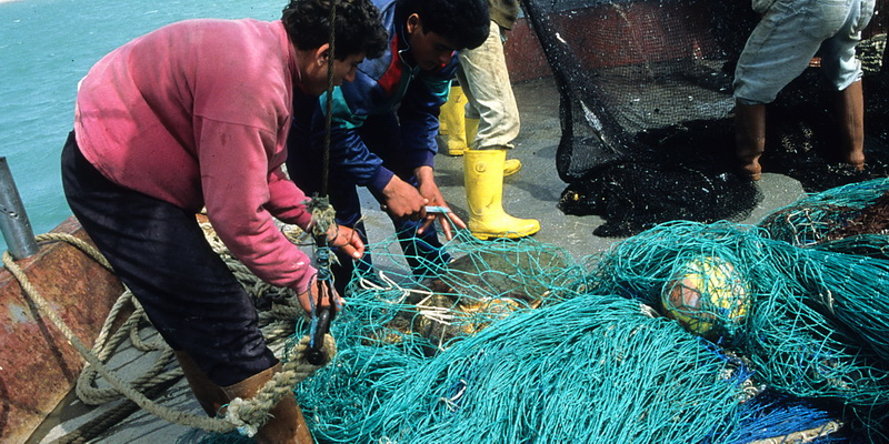 Fishermen releasing turtles from their net (© Ayse Oruc / WWF-Turkey)