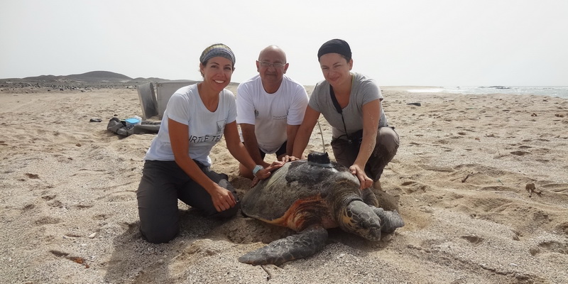 More members of the team with a tagged hawksbill (© EWS-WWF)